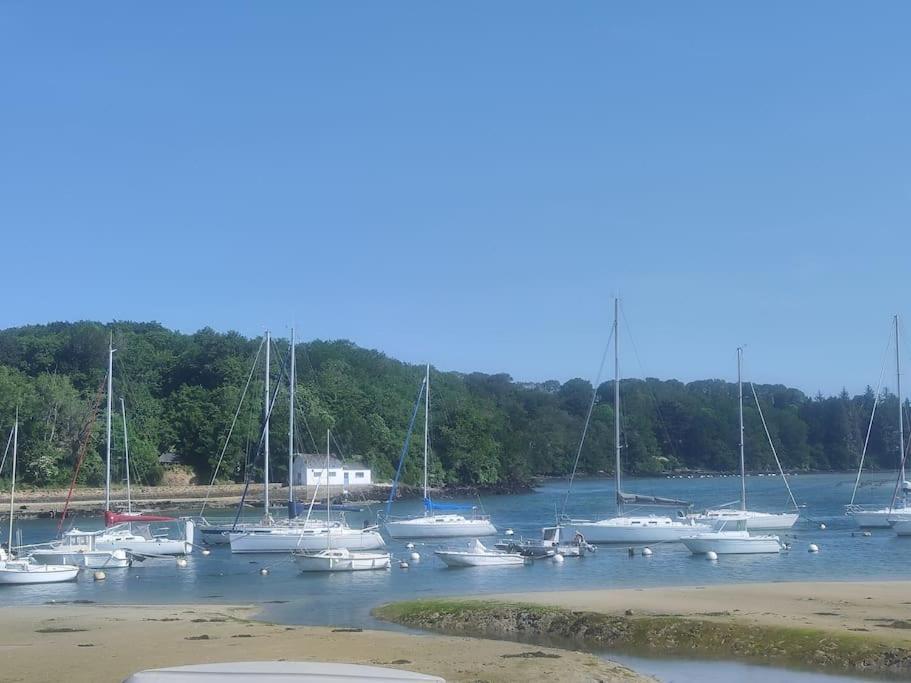 Appartement Nature Et Mer. Moelan sur Mer Bagian luar foto